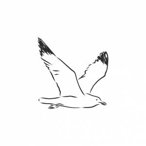 Имитация стиля скретч-доски рисованное изображение чайка птица векторная иллюстрация эскиз