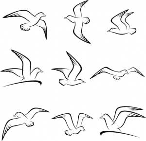 Набор чайки вектор
