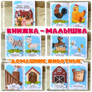 Домашние животные Книжка