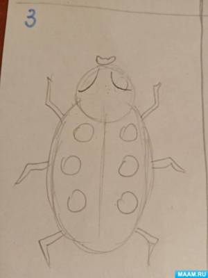 Рекомендации по пошаговому рисованию насекомых для воспитанников средней группы