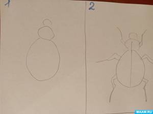 Рекомендации по пошаговому рисованию насекомых для воспитанников средней группы