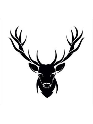 Трафареты Животных