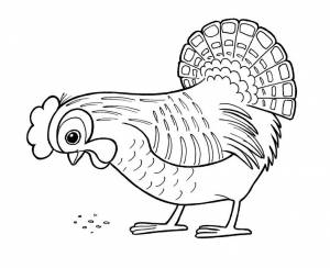 Раскраски домашние животные