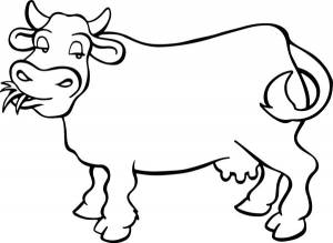 Раскраски забота о домашних животных