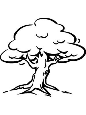 Трафареты Дуба