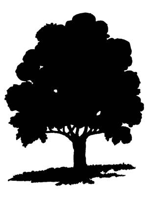 Трафареты Дуба