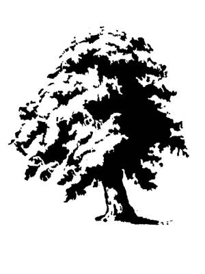 Трафареты Дуба