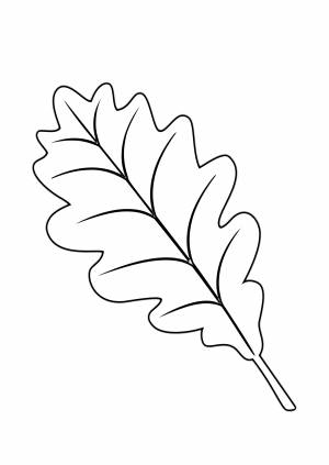 Лист дуба раскраска