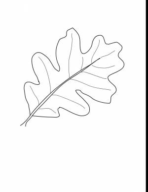 Дубовые осенние листья шаблоны