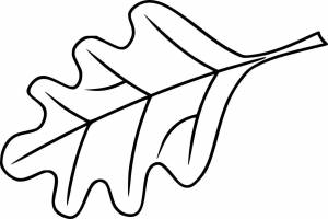 Дубовые осенние листья шаблоны