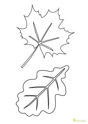 Трафареты листьев для вырезания а4   и