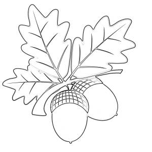 Шаблон дубового листа для вырезания, аппликация желудь, поделка лист дуба
