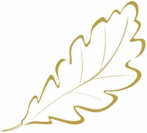 Трафареты листьев, шаблоны листьев