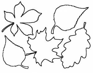 Трафарет листьев