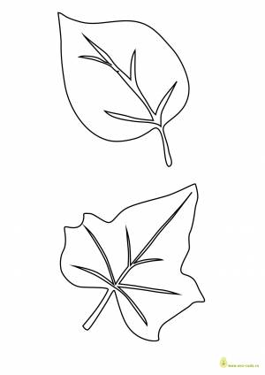 Трафареты листьев для вырезания а4   и