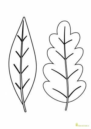 Трафареты листьев для вырезания а4   и