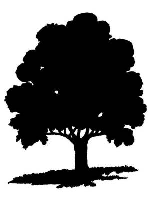 Трафареты Дуба