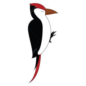 клипарт птицы дятла с закрытыми глазами PNG , здесь, дятел, птица PNG картинки и пнг рисунок для й загрузки