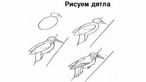 Рисунок поэтапно дятел