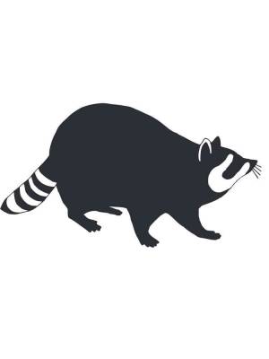 Трафареты Енота