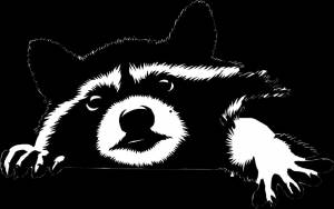 Енот трафарет