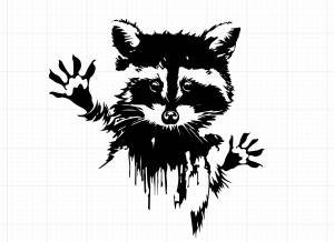 Трафарет енот