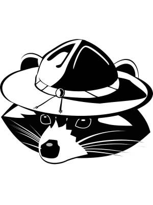 Трафареты Енота