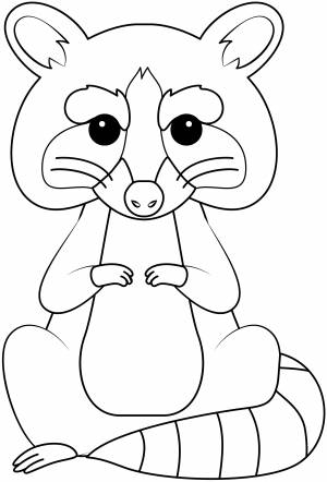 Шаблон для печати енота