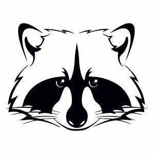 Морда енота рисунок