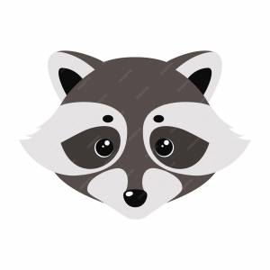Морда енота рисунок