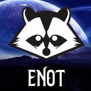 Морда енота рисунок