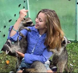 Правила посещения Дома Енота в Москве