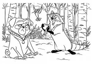 Раскраска Енот