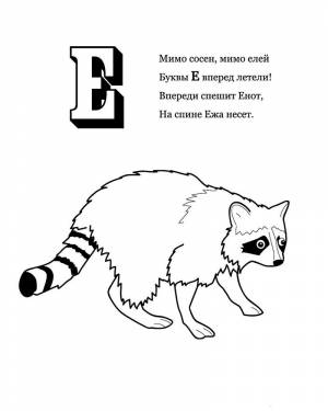 Раскраска Енот