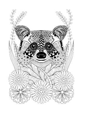 Раскраски Енот Антистресс