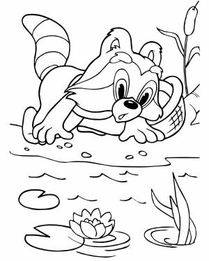 Крошка енот детский рисунок