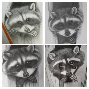 Енот и птица