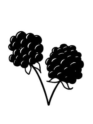 Трафареты Ежевики