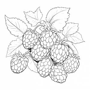 Раскраски ежевика для детей