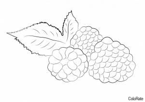 Раскраска Вкуснейшие ягодки