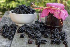 О пользе ежевики