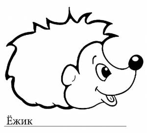 Раскраска картинка ежик