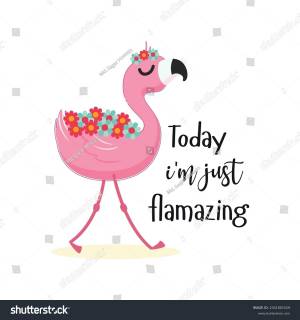 Today Im Just Flamazing Cool Flamingo