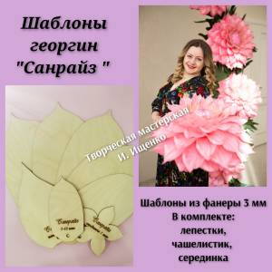 Шаблоны георгина Санрайз