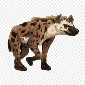 Плотоядная гиена PNG , гиена, Африка, животное PNG картинки и пнг PSD рисунок для й загрузки