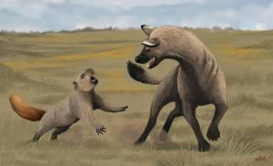 Бегающая гиена