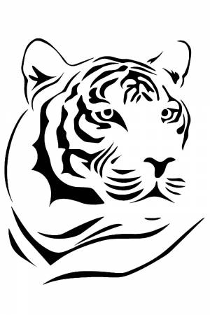 Трафареты Тигра