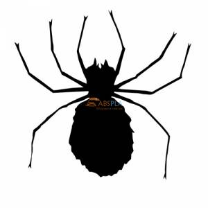 Паук 2