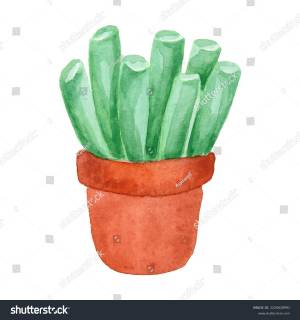 Gollum Jade Plant Hand Painted Watercolor