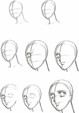 Рисунок головы поэтапно
